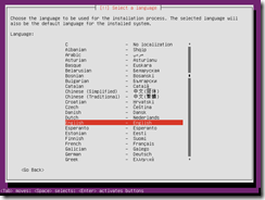 Ubuntu Installation Language